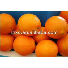 свежий апельсиновый название всех фруктов